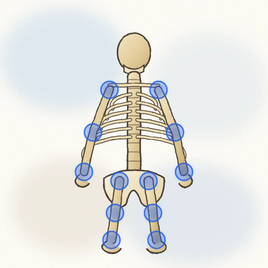 Human skeleton with the shoulder, elbow, wrist, hip, knee and ankle joints highlighted